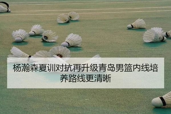 杨瀚森夏训对抗再升级青岛男篮内线培养路线更清晰