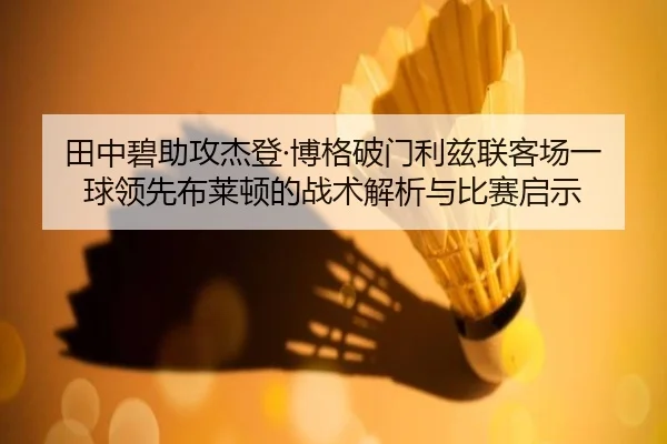 田中碧助攻杰登·博格破门利兹联客场一球领先布莱顿的战术解析与比赛启示